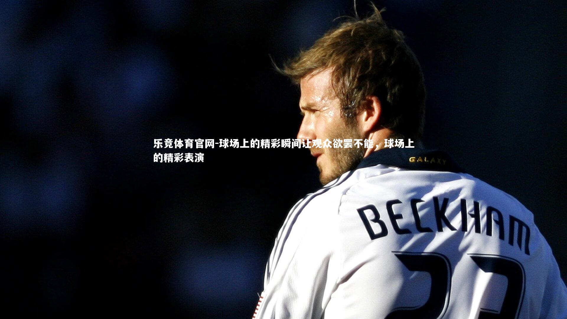 乐竞体育官网-球场上的精彩瞬间让观众欲罢不能，球场上的精彩表演