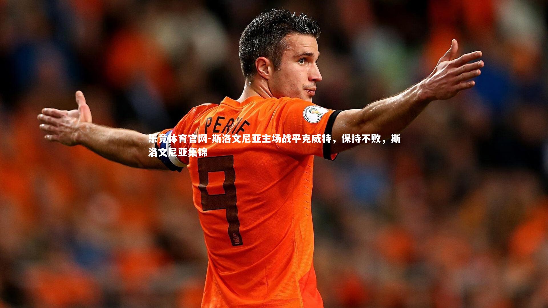 斯洛文尼亚主场战平克威特,保持不败,斯洛文尼亚集锦