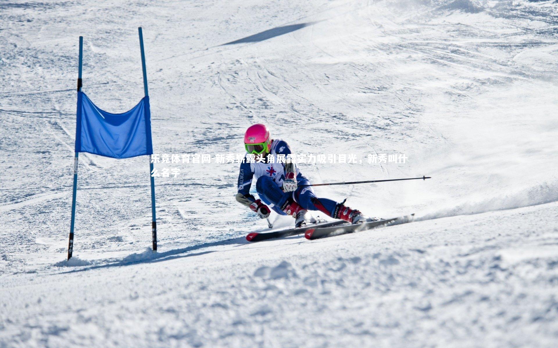 乐竞体育官网-新秀崭露头角展露实力吸引目光，新秀叫什么名字